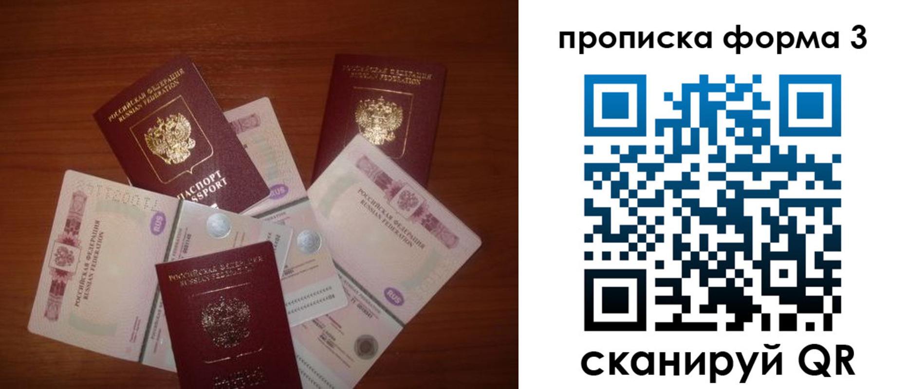 найти адрес прописки в Купино